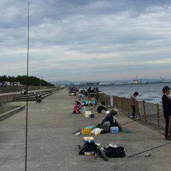 タチウオを釣りたかったが。。。