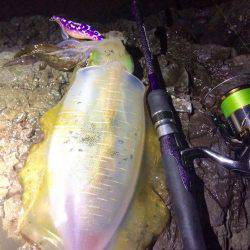 ナイトではポロポロと