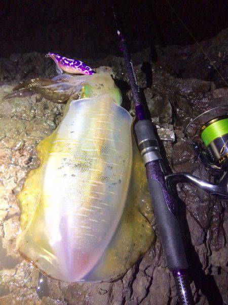 ナイトではポロポロと