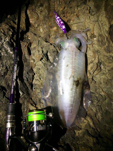 激流ナイトエギング