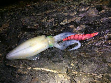 爆風真っ向勝負。