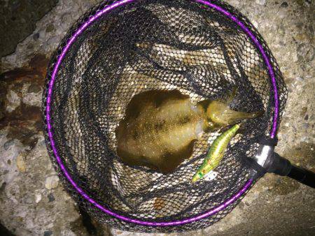 仕事帰りに一振り