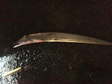 最後の一投で何とか1匹