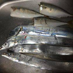 時合短く食い渋り