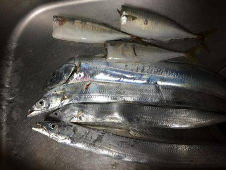 時合短く食い渋り