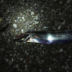 ウキ釣り厳しい