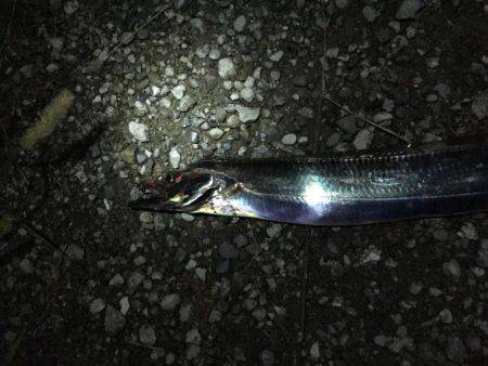 ウキ釣り厳しい