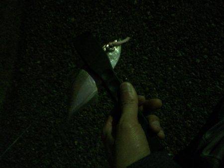 アジングがザバ、サヨリ