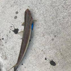 びみょうな１日