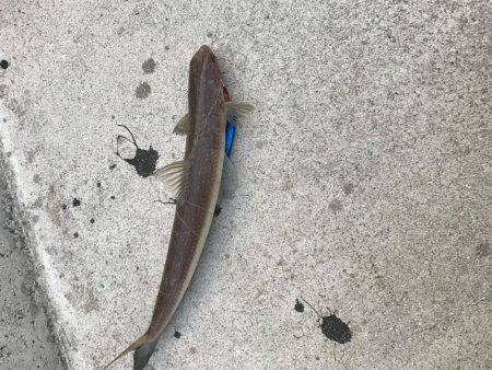 びみょうな１日