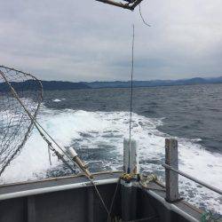 カンパチ狙いで‥