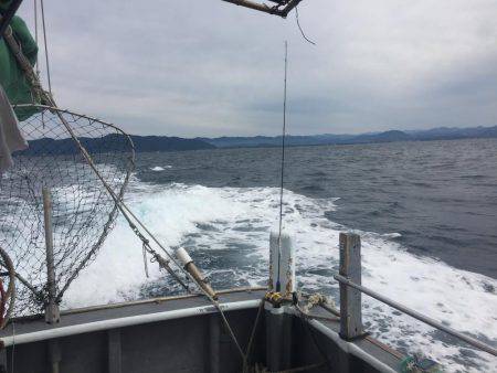 カンパチ狙いで‥