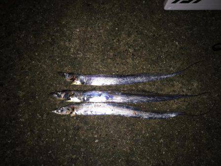 ショートバイト