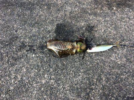 バクチョウパート3