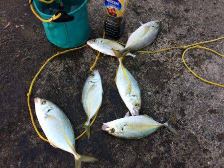 冬の空と風に…