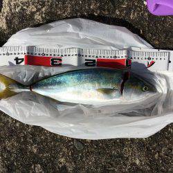 ナブラリベンジ