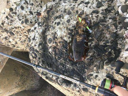 渋い中、大遠投でなんとかキャッチ