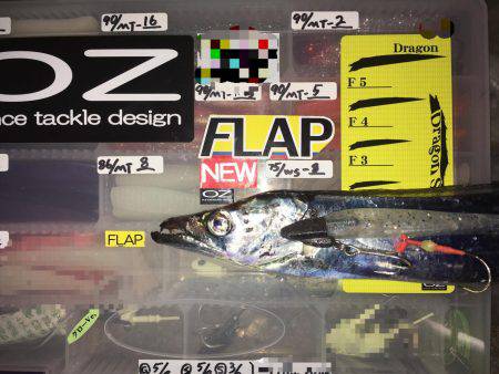 貝塚タチウオ爆風の巻…