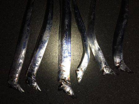 台風後の状況変化を期待して