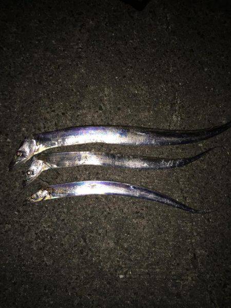 回復を期待して行きましたが........…