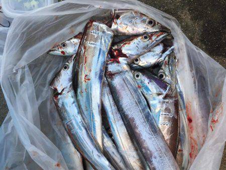 前が少し良かったので