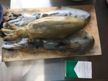 満月大潮のエギング