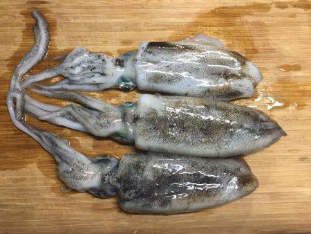 どちゃ濁りのエギング