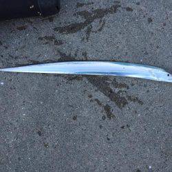 アジ爆釣太刀魚ならない