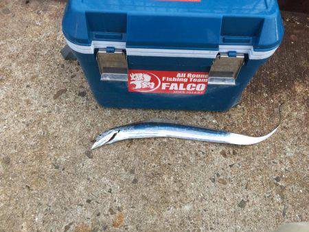 久々の海釣り公園での朝練5:00-6:30