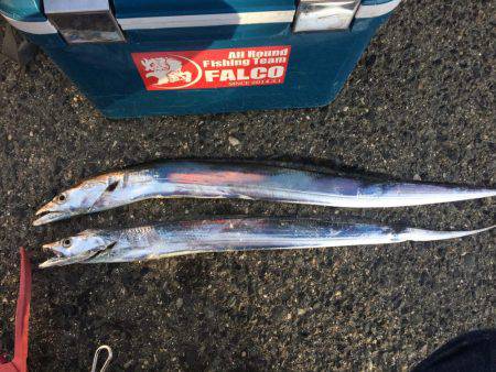 マイポイントで刀狩り