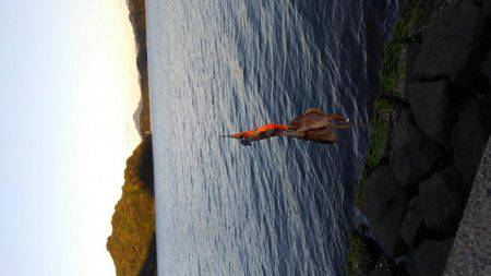 ちっちゃいタコだけ