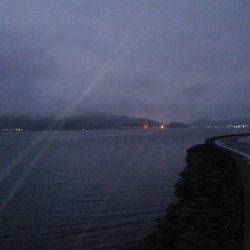 久しぶりにエソ