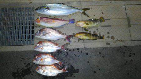 久々のヒラマサ