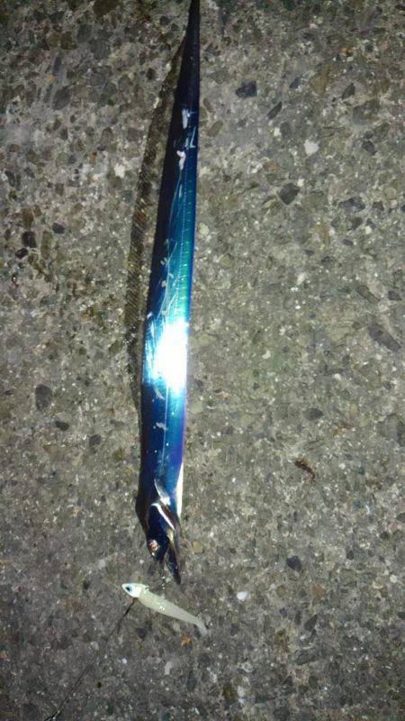 タチウオワインド