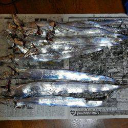 F4.5来た！そして、タチウオ18匹♪