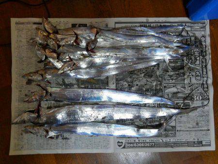 F4.5来た！そして、タチウオ18匹♪