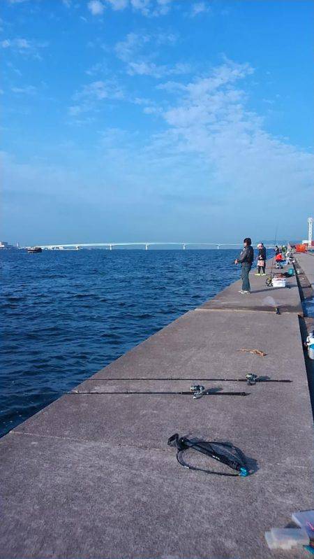 イシモチがお相手してくれました。