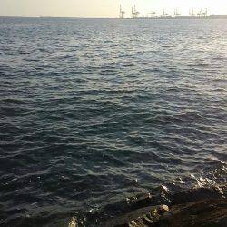 たかがフックされどフック