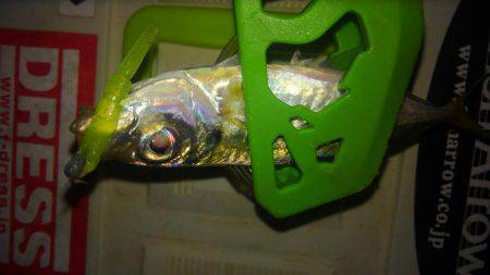 南大阪しらみつぶし