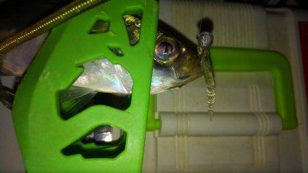 またもやワインド不発