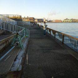 タチウオ二桁達成！