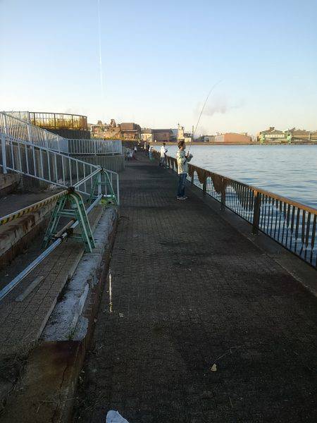 タチウオ二桁達成！