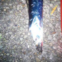 タチウオ浮き釣り