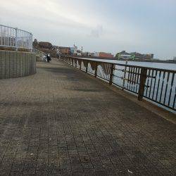 タチウオのサイズが…