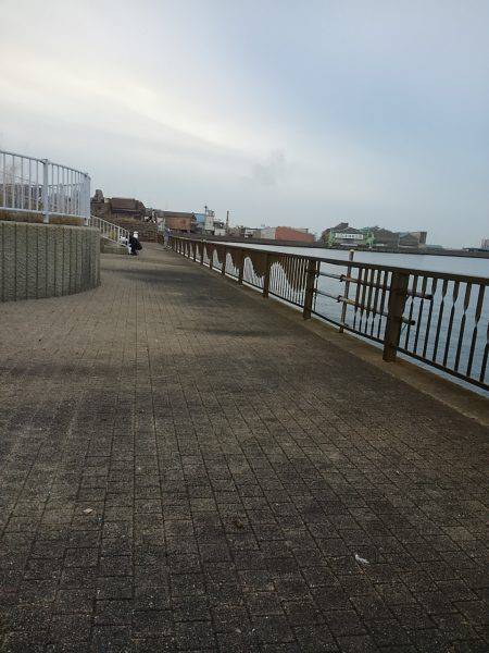 タチウオのサイズが…