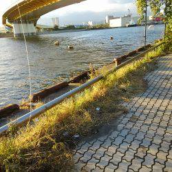 ジグでタチウオ