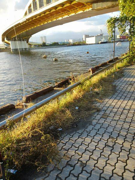 ジグでタチウオ