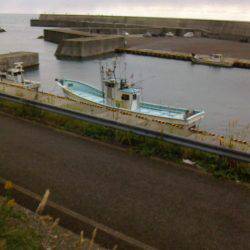 あじ　カワハギ　子メジナ