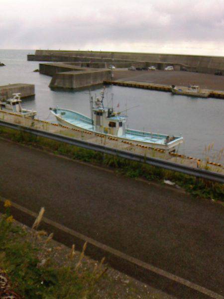 あじ　カワハギ　子メジナ