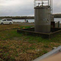 豆アジ~アジ~カマス